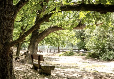 Nell-Breuning-Haus Wanderroute, © Unbekannt Nell-Breuning-Haus Wanderroute, © Unbekannt