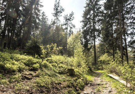 Belgenbachtal, © StädteRegion Aachen Belgenbachtal, © StädteRegion Aachen
