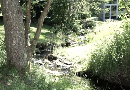 Weidenbachtal, © Rursee-Touristik Weidenbachtal, © Rursee-Touristik