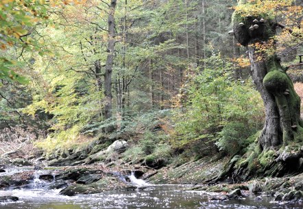 Der schwarze Fluss, © StädteRegion Aachen Der schwarze Fluss, © StädteRegion Aachen