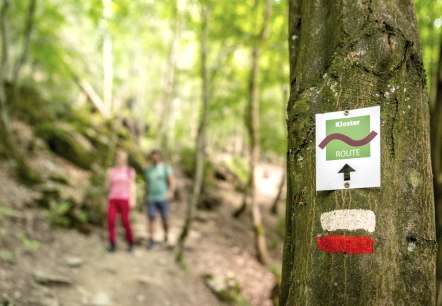 Rurtal Dreistegen, © Eifel Tourismus GmbH Rurtal Dreistegen, © Eifel Tourismus GmbH