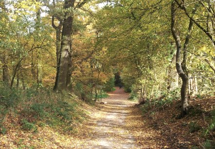 Wanderweg im Wurmtal, © Stadt Würselen Wanderweg im Wurmtal, © Stadt Würselen