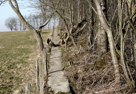 Eifellandschaft, © Bernd Läufer Eifellandschaft, © Bernd Läufer