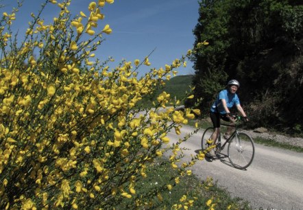 Radfahrer auf der Dreiborner Hochfläche, © K. Winter Radfahrer auf der Dreiborner Hochfläche, © K. Winter