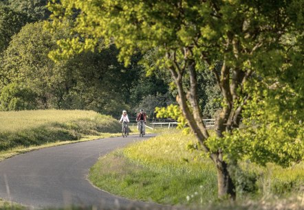 RurUferRadweg bei Blens, © Copyright: Grünmetropole e.V. RurUferRadweg bei Blens, © Copyright: Grünmetropole e.V.