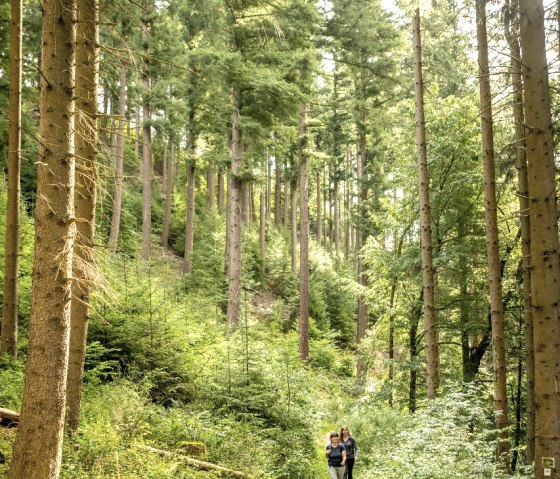 Eifelsteig zur Uhusley, © StädteRegion Aachen