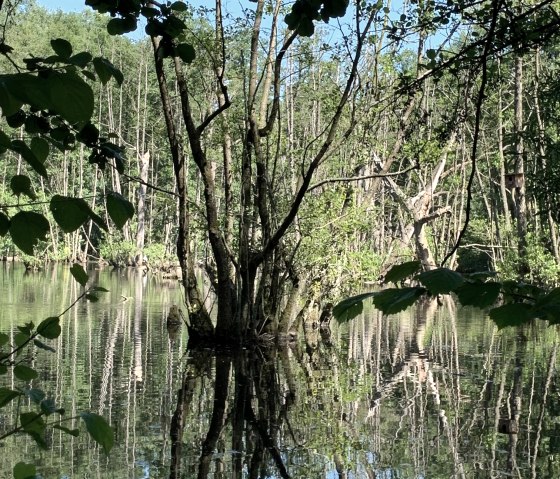 Naturschutzgebiet Mittleres Broichbachtal, © StädteRegion Aachen