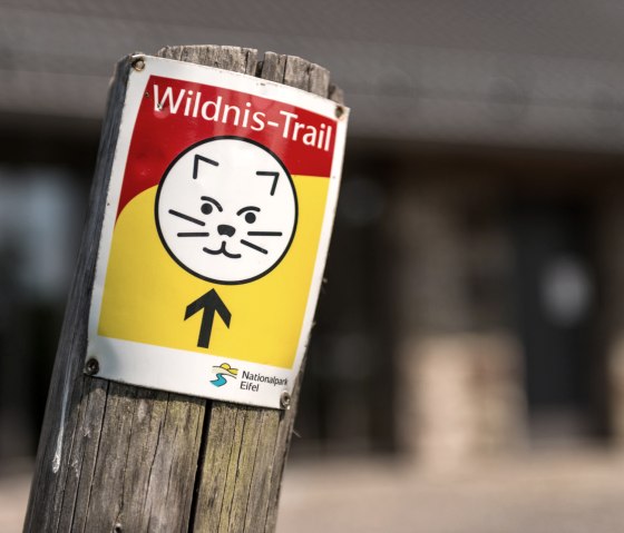 Wilderness trail markings in the Eifel National Park, © Eifel Tourismus GmbH, D. Ketz