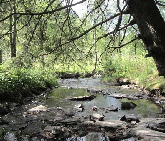 Bachlauf in der Eifel, © StädteRegion Aachen