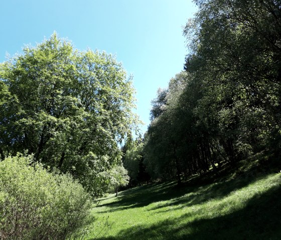 Perlbachtal quer (c) Monschau-Touristik, © Monschau-Touristik