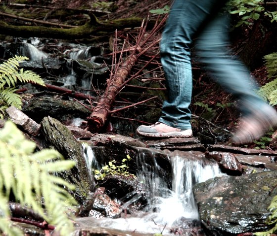 Wandern auf dem Wildnistrail, © G.Priske