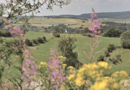 Eine herrliche Landschaft, © Tourismusagentur Ostbelgien