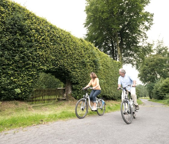 Radfaher in Eifeler Heckenlandschaft, © vennbahn.eu