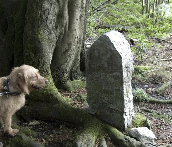 Grenzstein entlang der Burgunderlinie, © Andrea Borowski