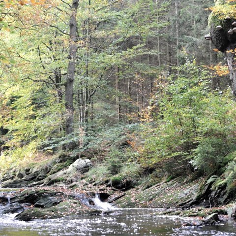 Der schwarze Fluss, © StädteRegion Aachen