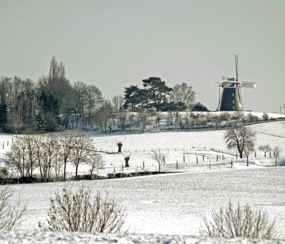 Molen op de Vrouweheide, © Visit Zuid Limburg