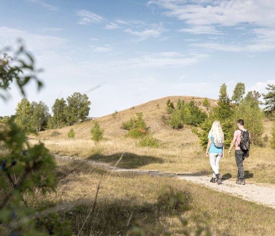 Wanderweg am Schlangenberg, © Eifel Tourismus GmbH