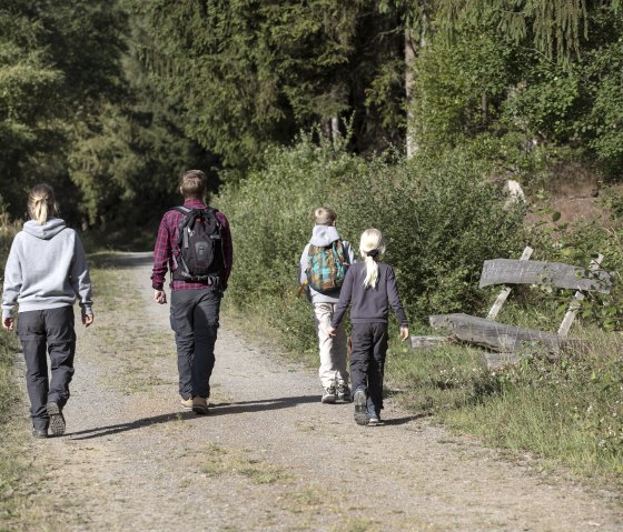 Walderlebnis Parcours Kölsch Kier, © Eifel-Tourismus GmbH, Tobias Vollmer