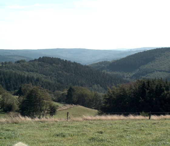 der dicht bewaldete Kermeter, © StädteRegion Aachen