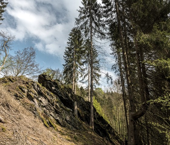 Belgenbachtal, © StädteRegion Aachen