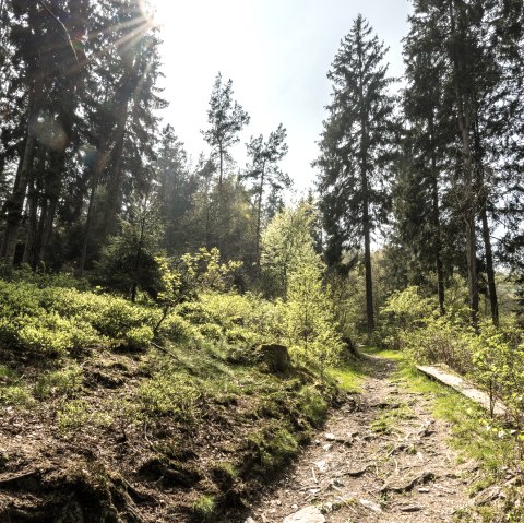 Belgenbachtal, © StädteRegion Aachen