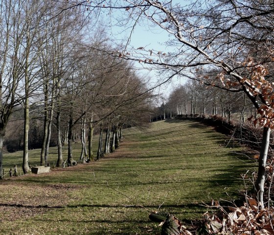 Von Hecken begrenzte Hangweiden, © StädteRegion Aachen