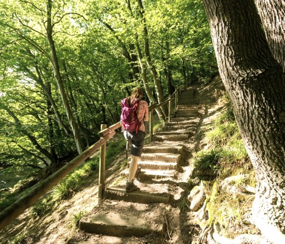 Treppe im Wurmtal, © StädteRegion Aachen