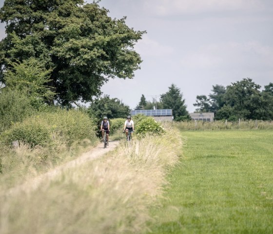 Wiesenlandschaft bei Hahn-Vennwegen, © StädteRegion Aachen