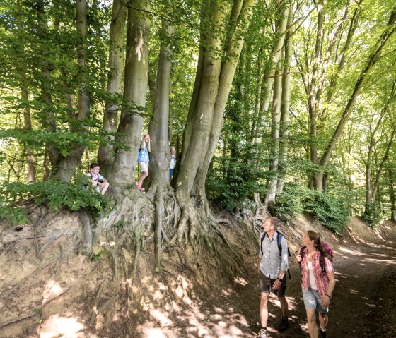 Wandern auf dem Landgraben, © Fotograf: Dominik Ketz