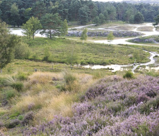 Brunssummerheide, © Visit Zuid Limburg