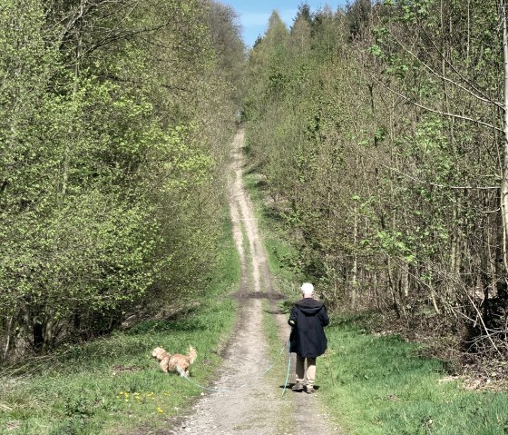 Grenzlinie Neutral-Moresnet, © StädteRegion Aachen