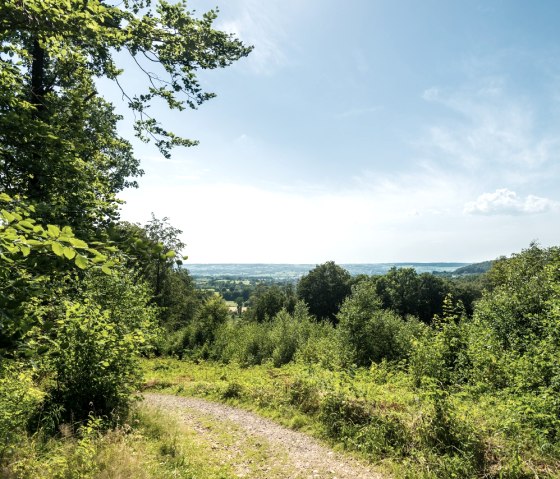 Vaalserberg - Blick Richtung Plombieres / Bleiberg, © StädteRegion Aachen