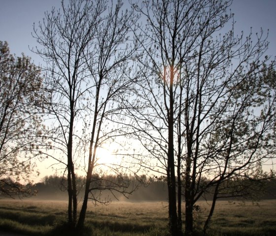 Aachener Soers, © StädteRegion Aachen