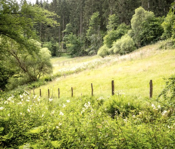 Ölmühle im Tiefenbachtal, © Eifel Tourismus GmbH