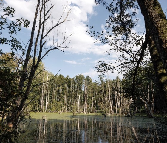 Weiher im Broichbachtal, © Eifel Tourismus GmbH