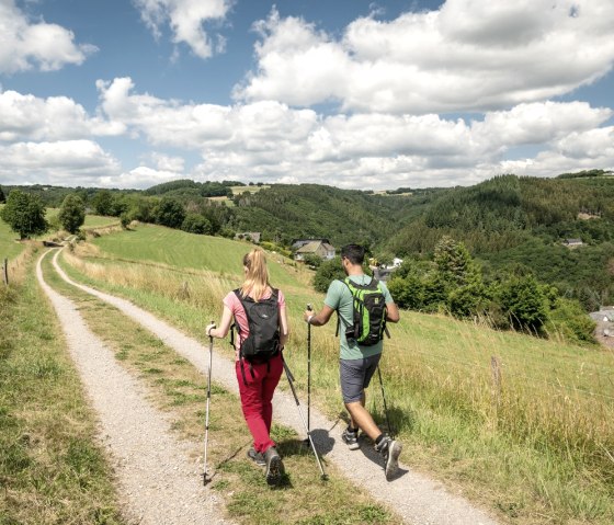 Eifelsteig bei Dedenborn, © Eifel Tourismus GmbH