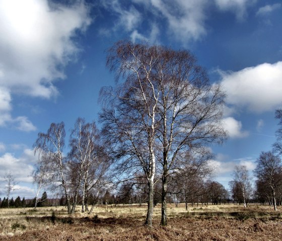 Durch die "Steppenlandschaft" der Eifel, © Community