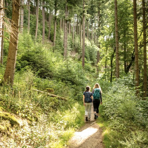 Eifelsteig bei Uhusley, © StädteRegion Aachen; Foto: Dominik Ketz