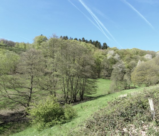 Eifellandschaft, © StädteRegion Aachen