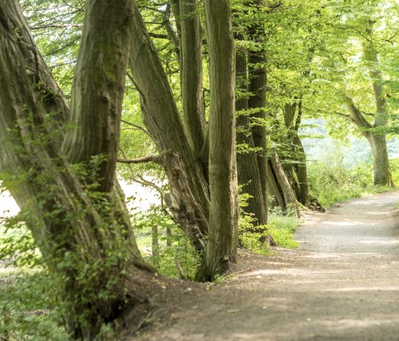 Weg Wurmtal, © StädteRegion Aachen