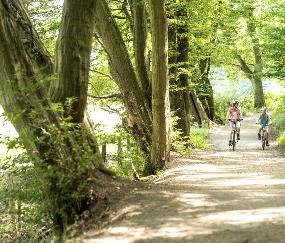 Radweg im Wurmtal, © Fotograf: Dominik Ketz