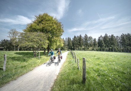 Eifellandschaft bei Kalterherberg, © Eifel Tourismus GmbH