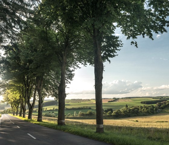 Landschaft in der Nähe von Troisvierges, © vennbahn.eu