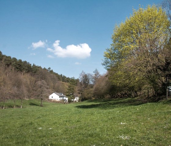 Blick  in das Fischbachtal, © Eifelverein e. V.