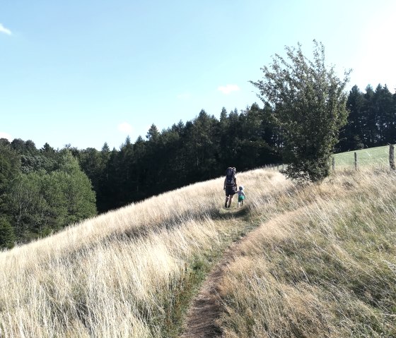 Schöpfungspfad, © StädteRegion Aachen