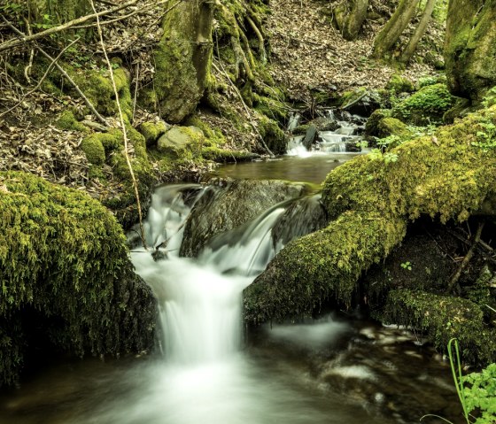 Bachlauf im Rurtal, © StädteRegion Aachen