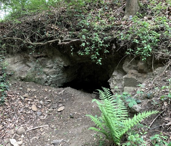 Quarry tunnel mouth, © StädteRegion Aachen