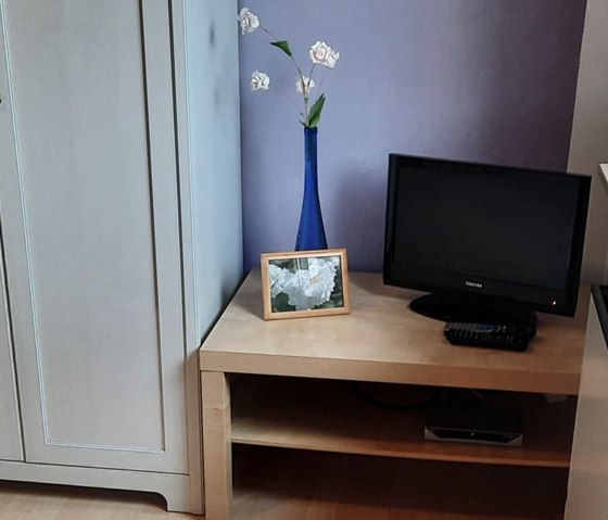 Roder am Eifelsteig TV in one of the DZs