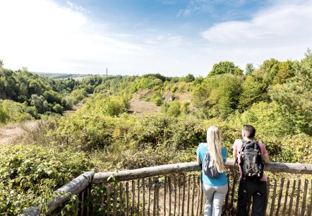 Aussichts Binsfeldhammer, © Eifel Tourismus GmbH