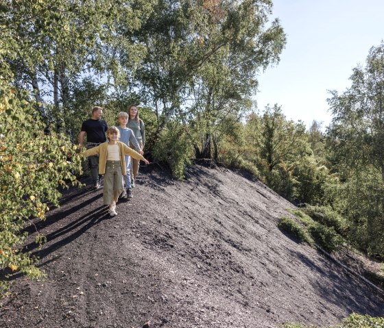 Slag heap landscape near Würselen, © Eifel Tourismus GmbH